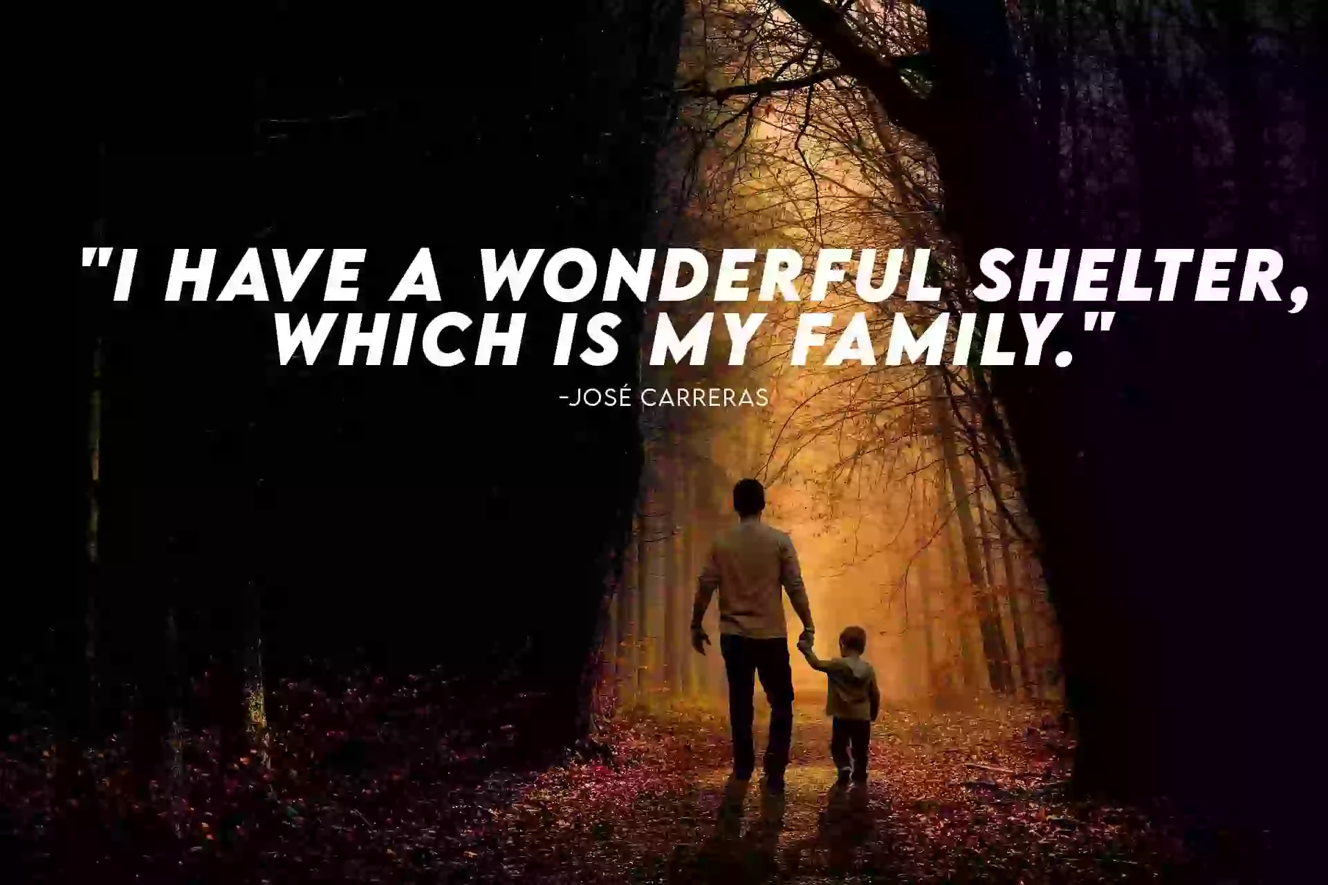 Family Quotes