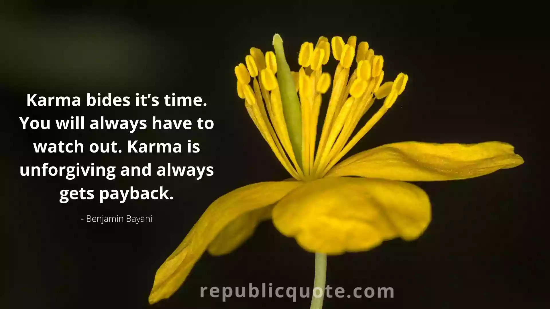 Karma Quotes