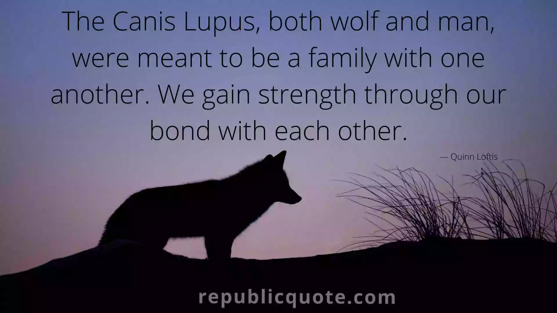 Lone Wolf Quotes