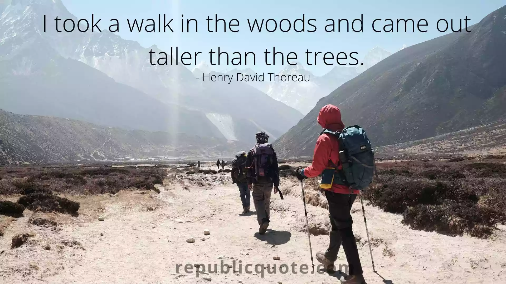 Trekking Quotes