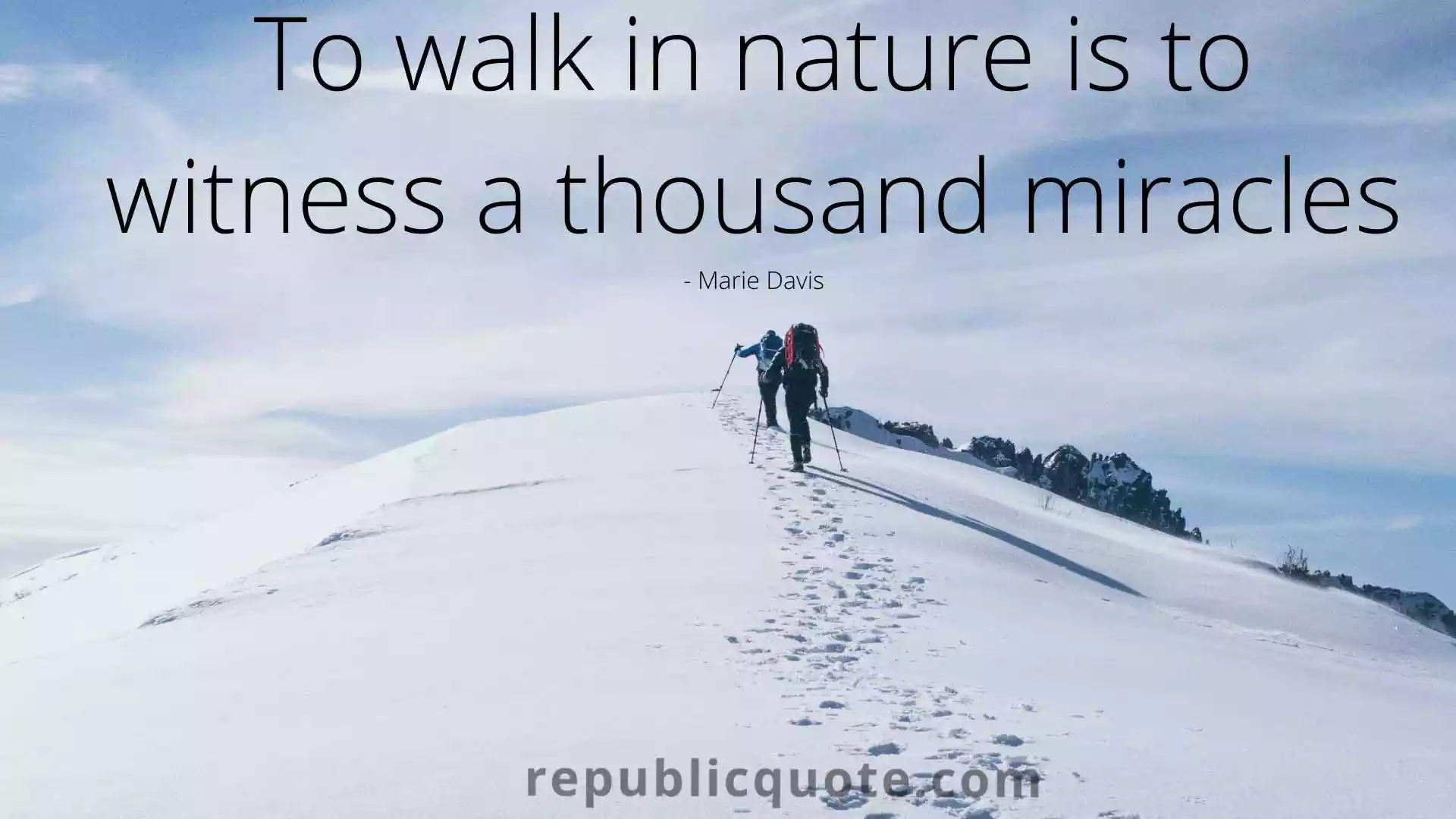 Trekking Quotes