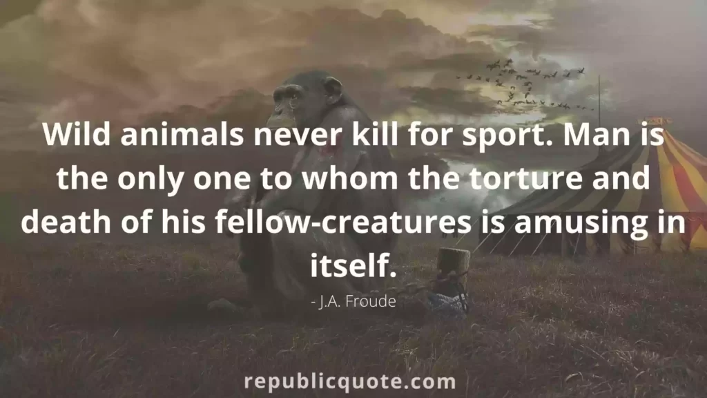 Animal Abuse Quotes