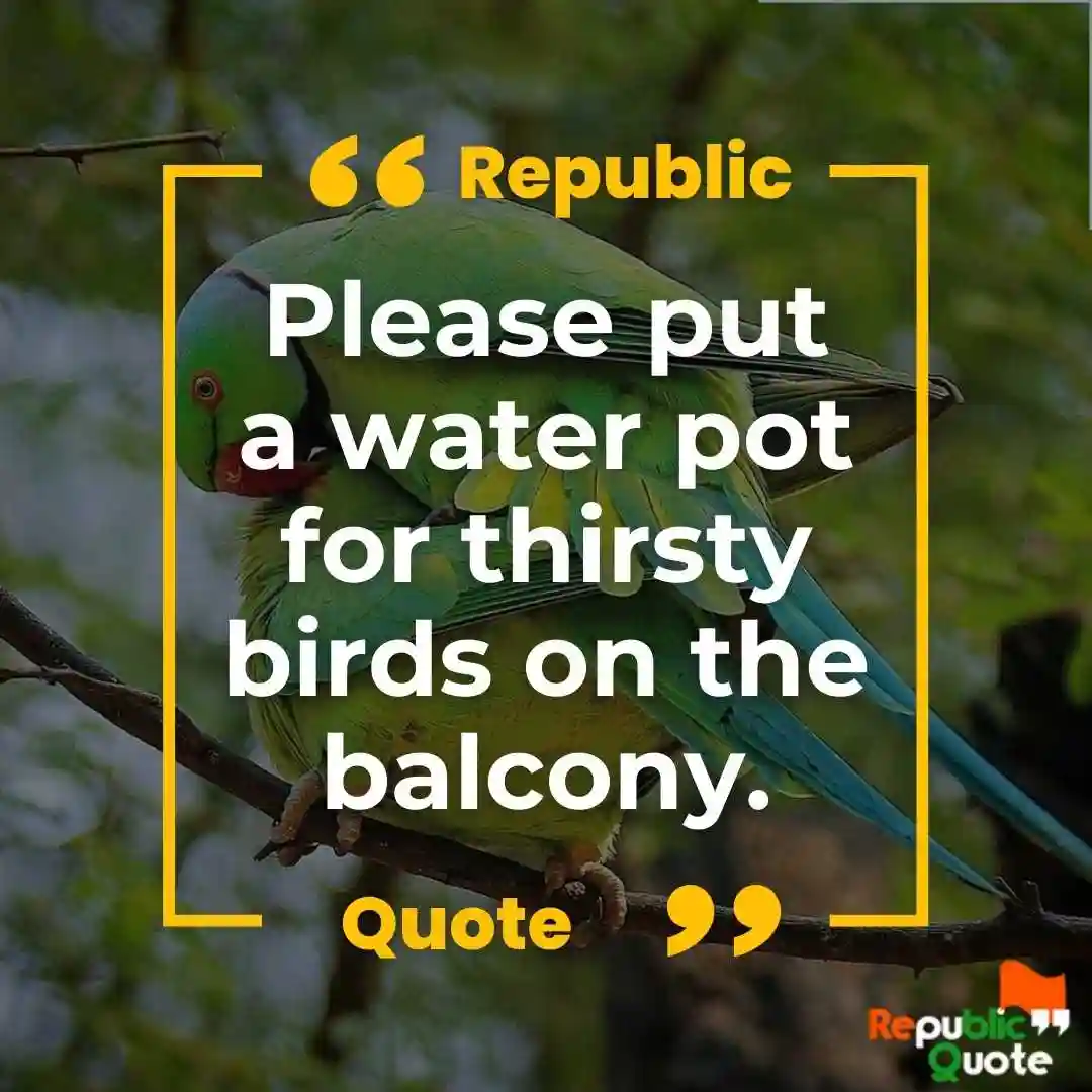 Save Birds Quotes