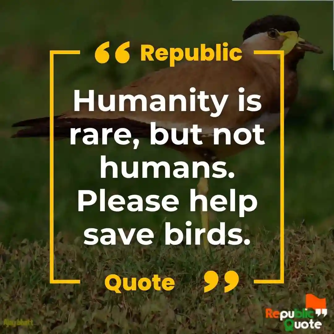 Quotes on Save Birds