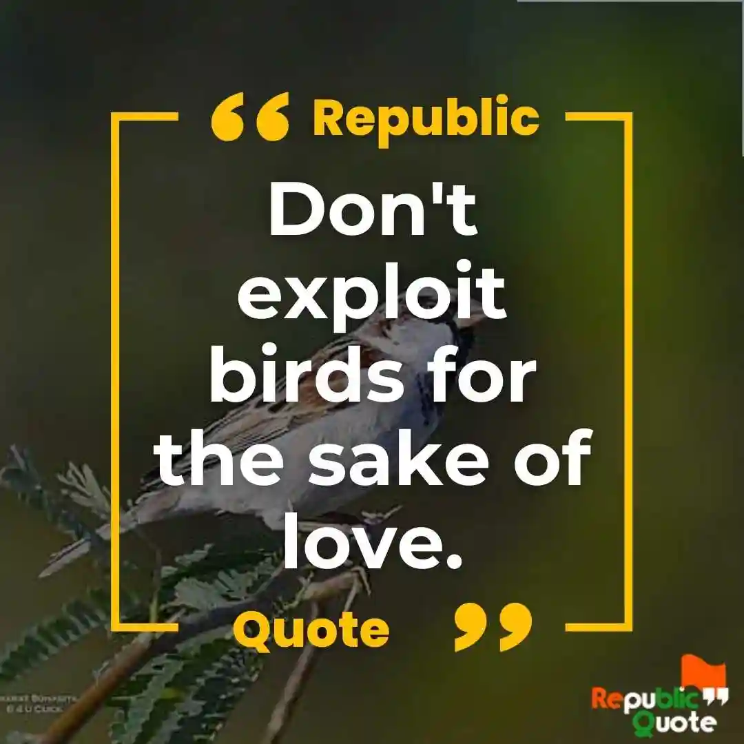 Quotes on Save Birds