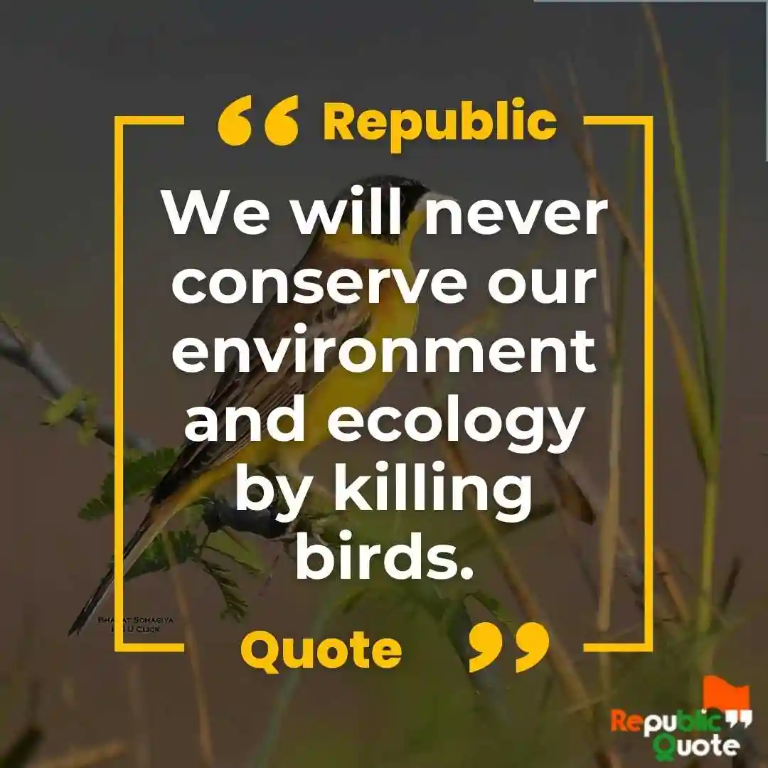 Save Birds Slogan