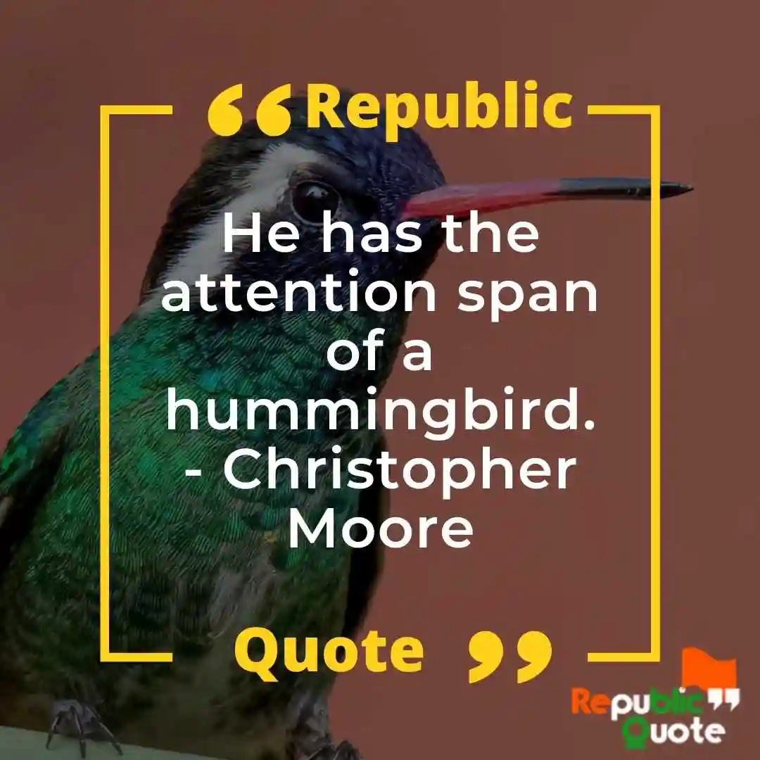 Cute Hummingbird Quotes