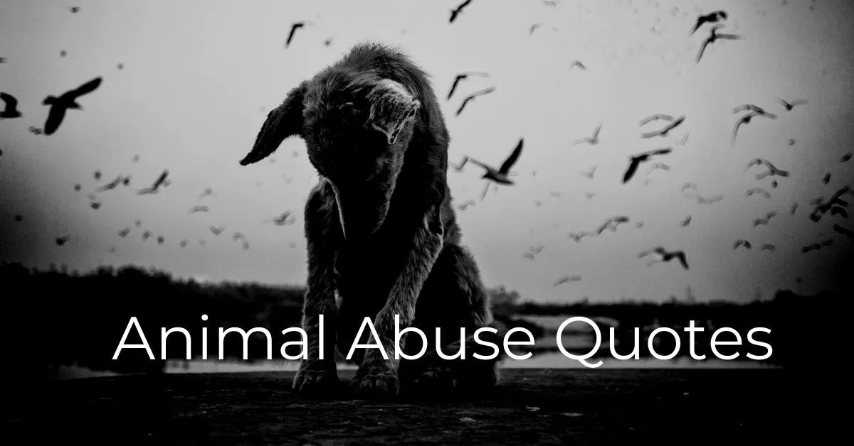 You are currently viewing 10 Best Animal Abuse Quotes & Caption | Animal Cruelty Sayings