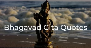 Read more about the article 40+ Best Bhagavad Gita Quotes By Lord Krishna On Life