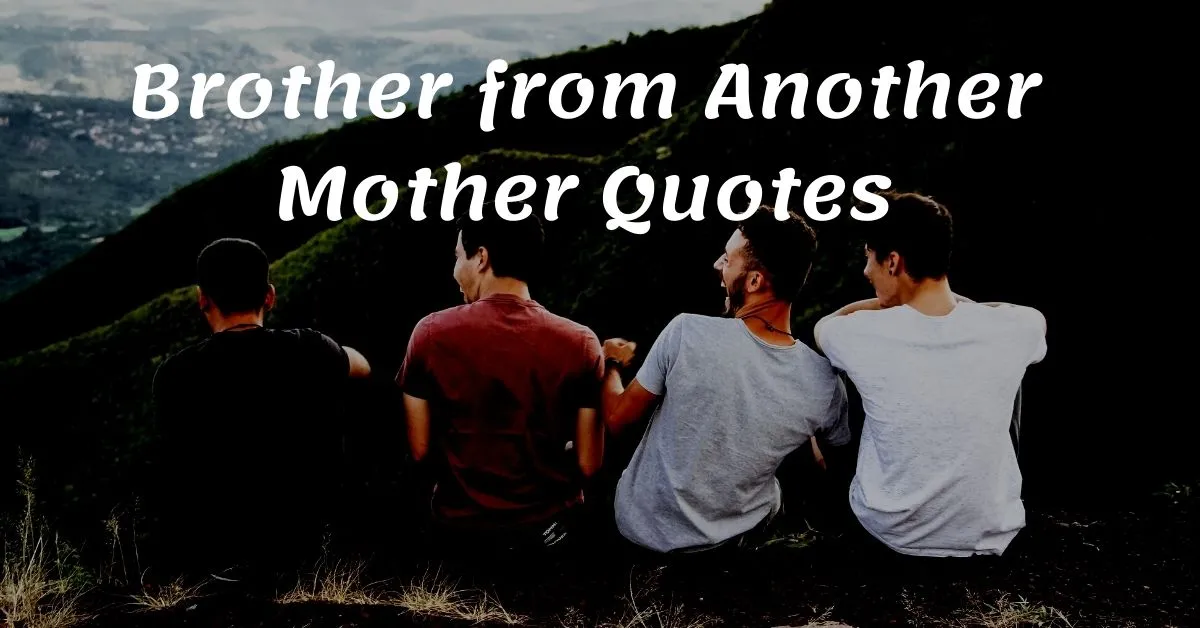 You are currently viewing Top 10 Brother from Another Mother Quotes with Images
