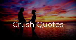 Read more about the article Top 30 Crush Quotes for Your Love | Romantic Quotes