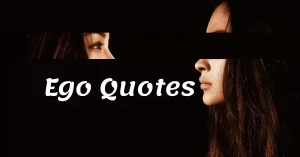 Read more about the article Top 20 Ego Quotes and Sayings with Images