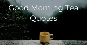 Read more about the article 20 Best Good Morning Tea Quotes | Tea Messages and Sayings