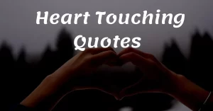 Read more about the article Top 20+ Heart Touching Quotes For Love and Life