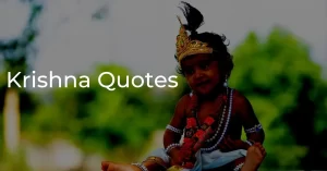 Read more about the article 30+ Best Krishna Quotes From Bhagavad Gita
