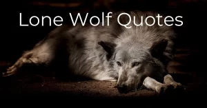 Read more about the article Top 20 Lone Wolf Quotes to Inspire You with Images