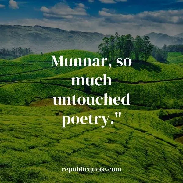Munnar Trip Quotes