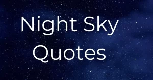 Read more about the article Top 20 Beautiful Night Sky Quotes & Sayings | Night Star Quotes