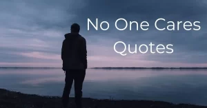 Read more about the article Top 20 No One Cares Quotes & Sayings | Nobody Cares Quotes