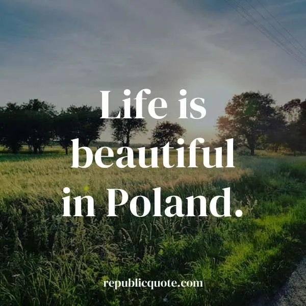 Funny Poland Quotes
