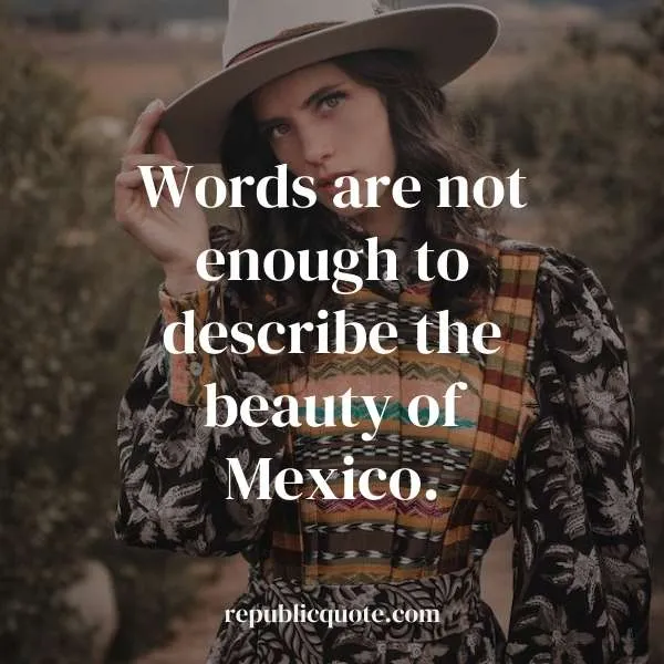 Mexico Quotes Funny