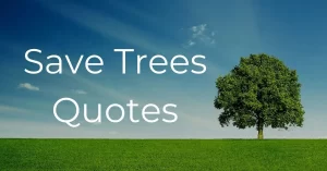Read more about the article Save Trees Quotes and Captions | Don’t Cut Trees Slogans