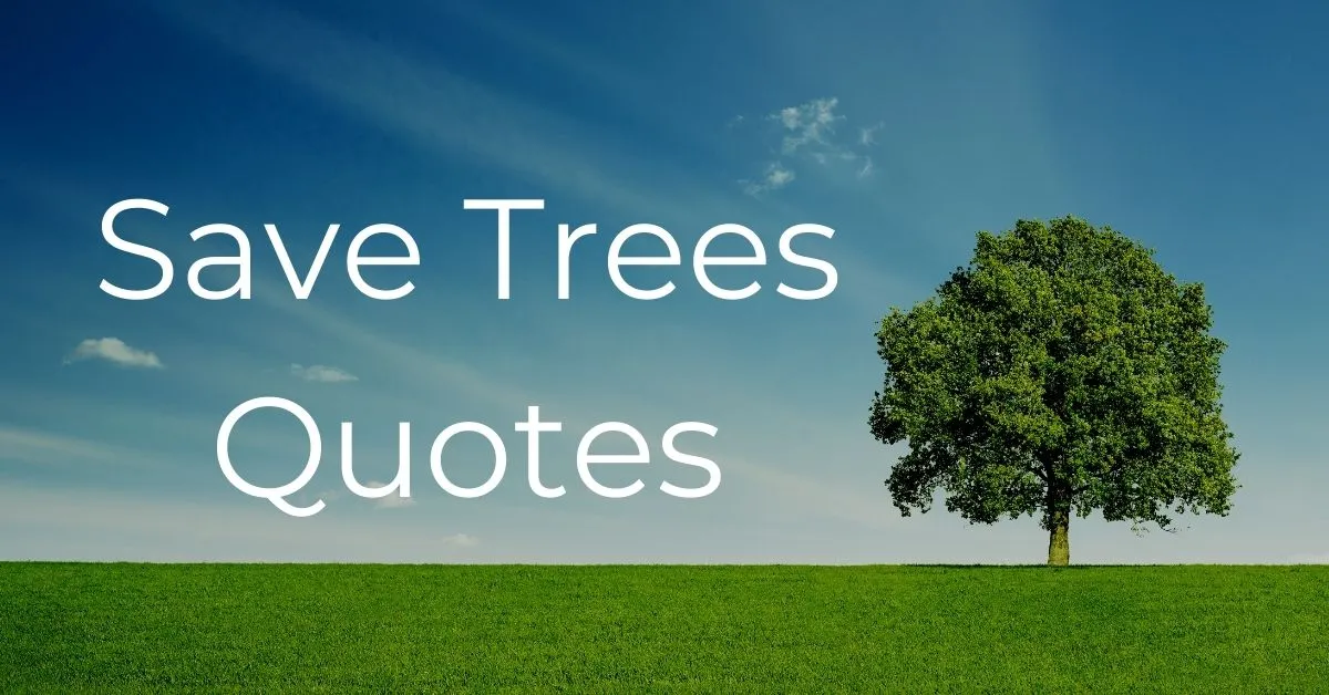 You are currently viewing Save Trees Quotes and Captions | Don’t Cut Trees Slogans