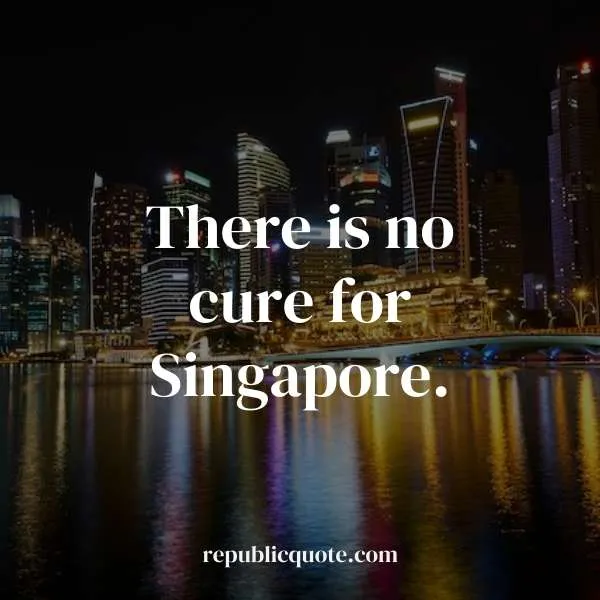 quotes for singapore tri