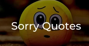 Read more about the article 20+ Best Sorry Quotes Ideas | Apology Messages To Your Partner