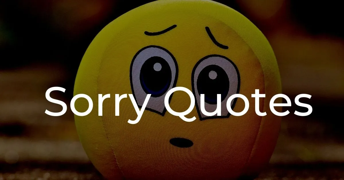 You are currently viewing 20+ Best Sorry Quotes Ideas | Apology Messages To Your Partner