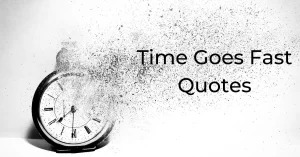 Read more about the article Top 20 Time Goes Fast Quotes | How Time Flies with Images